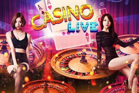 Black Bear Casino Live Casino